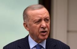 “Più di mille membri di Hamas sono stati curati in Türkiye”. Le rivelazioni di Erdogan come alleato dei terroristi – .