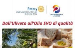 assemblea del Rotary Club “Sette Colli” di Cosenza – .