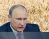 La Russia si impadronisce di terreni e beni della società a causa dei legami con un paese “ostile” – .