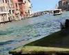 il Canal Grande si tinge di verde. Nuovo blitz degli ambientalisti – .