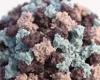 Norovirus al passo del Tonale, ma il problema è “solo lombardo”: tutto quello che c’è da sapere – News