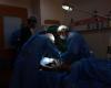 “Il mio lavoro nell’ospedale di Rafah, dove ogni giorno sento le urla disperate dei bambini feriti” – .