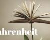 Fahrenheit | S2024 | Il libro del giorno | Gianluca Peciola, La linea del silenzio, Solferino
