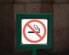 Divieto di fumo all’aperto a Torino, a Bergamo già in vigore nei parchi – .