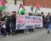 I collettivi studenteschi filo-palestinesi davanti agli studi La7: “Parenzo, veniamo su”