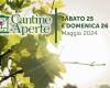 Cantine Aperte 2024 in Sicilia – .