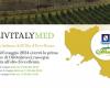 Rocca Cilento ospita OlivitalyMed, evento dedicato alle eccellenze dell’olio extravergine di oliva italiano e mediterraneo dal 4 al 05/06/24 – .