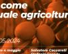 A come “quale agricoltura”, incontro sul tema proposto dal comitato sindaco Nardini – .