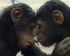 Il regno del pianeta delle scimmie: il film può essere visto in Blu-ray senza effetti visivi