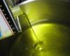 L’olio extravergine di oliva è un valore italiano, evitiamo di farne un uso improprio – .