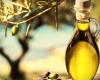 L’olio EVO by “Favolosa”, a Trani il 9 e 10 maggio, un viaggio nella filiera di un olio nuovo. Premio per giovani ricercatori in olivicoltura dedicato a Fontanazza