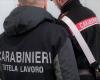 I carabinieri della NIL ispezionano un’azienda agricola sita nel comune di Imola – .