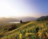 Gli 8 migliori vini del Lago di Caldaro scelti dal Gambero Rosso – .