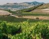Sicilia en Primeur, Planeta presenta i vini del territorio di Menfi – Virtù Quotidiane – .