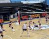 Quindici Molfetta – Pallavolo femminile. La Dinamo CAB Molfetta agli esami dell’ASEM Volley Bari – .