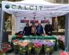 Le piante fiorite di Calcit tornano ad Andria per la Festa della Mamma, sabato 11 e domenica 12 maggio in Viale Crispi – .