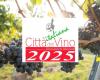 La Grande Alleanza tra 8 comuni dei Castelli Romani per diventare ‘Città Italiana del Vino 2025’ – .