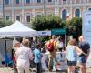 Il tour della salute parte da Anzio. Appuntamento 11 e 12 maggio in Piazza Garibaldi – .