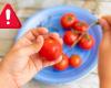 Più di 100 bambini avvelenati dopo aver mangiato pomodorini a scuola (forniti dal Ministero) – .