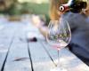 Sicilia en Primeur 2024 presenta il resoconto dei vini d’annata – .