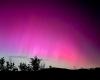 Notte Rosa, l’aurora boreale colora il cielo di Livorno – Livornopress – .