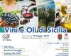 “Vini e Oli di Sicilia”, a Trapani l’AIS Sicilia promuove la cultura e la storia dei due simboli del Mediterraneo – LaTr3.it – .