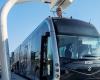 Inizia la rivoluzione del servizio di trasporto pubblico urbano. Matteo Salvini a Taranto – .