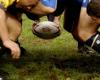 ▼ Rugby serie C, i Centurioni tornano alla vittoria contro Bergamo – BsNews.it – .