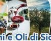 “Vini e Oli di Sicilia”, a Trapani L’AIS Sicilia promuove la cultura e la storia dei due simboli del Mediterraneo • Prima Pagina – .