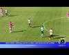 Barletta NEWS24 | Fidelis Andria, semifinale Playoff al Nardò, partita decisa dal gol di D’Anna – .