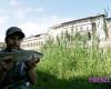 I pesci di una volta tornano nell’Arno fiorentino :: Reportage a Firenze