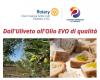 RENDE (CS) – Incontro pubblico rotariano “Dall’oliveto all’olio extravergine di qualità” – .