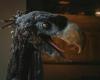 L’uccello del terrore, il carnivoro piumato preistorico di 100 kg che sembra uscito da Jurassic Park – .