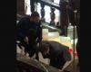 un poliziotto strattona un deputato che vuole salire le scale – .