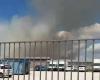 Vigne Nuove, enorme incendio nell’area verde di Rina de Liguoro (FOTO-VIDEO) – .
