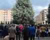 Ambientalisti e residenti scendono in piazza (Europa) contro l’abbattimento delle piante monumentali – Targatocn.it – .