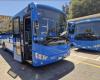 Nuovi autobus extraurbani tra Firenze e Arezzo. E At punta a rinnovare metà della flotta entro il 2025 – .