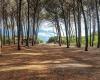 Vacanze all’aria aperta nella natura della Toscana: cosa fare e vedere