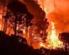 Incendi, in Calabria e Sicilia nel 2023 colpito l’83% della superficie – .