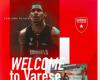 LBA Market 2024-25 Harris to Varese in Pistoia Childs and Trapani… – .
