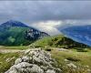Piogge record in Trentino nei primi sei mesi dell’anno – .