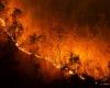 Gli incendi boschivi sono aumentati di 10 volte negli ultimi 10 anni – .