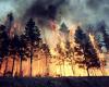 Prevenzione incendi boschivi in ​​Irpinia, allerta fino al 15 ottobre – Palazzo Tenta 39 – .
