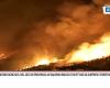 Incendi boschivi, bruciati nel 2023 99 ettari di aree boschive in provincia di Salerno – .