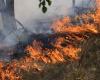 Rischio incendi boschivi in ​​Emilia Romagna, al via la fase di attenzione – .